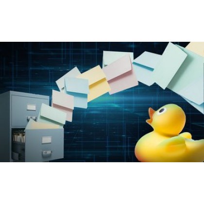 Computing in Python I: Fundamentals and Procedural Programming (course)