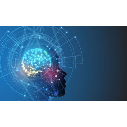 Applied Deep Learning Capstone Project (course) Applied Deep Learning Capstone Project (course)