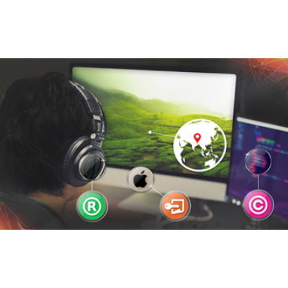 Intellectual Property Rights: A Management Perspective (course) Intellectual Property Rights: A Management Perspective (course)