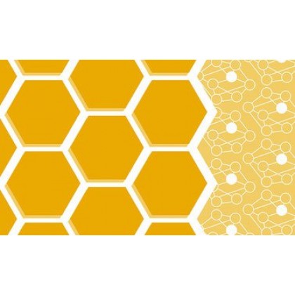 Data Structures & Algorithms IV: Pattern Matching, Dijkstra’s, MST, and Dynamic Programming Algorithms (course) Data Structures & Algorithms IV: Pattern Matching, Dijkstra’s, MST, and Dynamic Programming Algorithms (course)