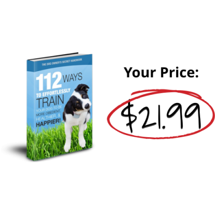 112 Amazing Dog Hacks