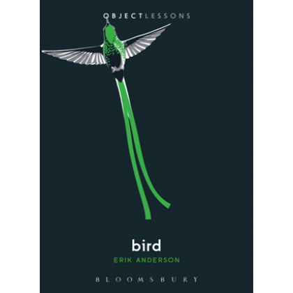 Bird (Object Lessons)