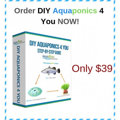 Diy Aquaponics Made Easy 