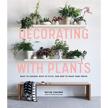 Decorating with Plants What to Choose, Ways to Style, and How to Make Them Thrive.