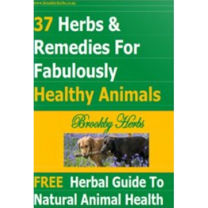 37 Herbs & Remedies for Fabulously Healthy Animals
